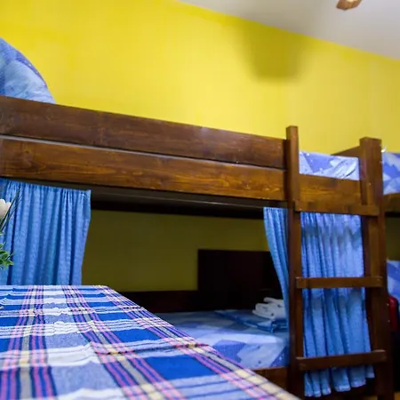 Vandrarhem The Comfy Skopje