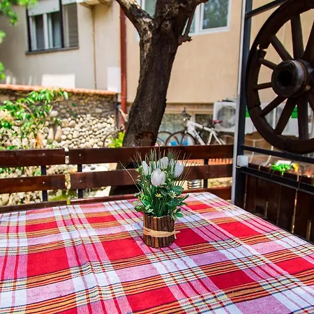Hostel The Comfy