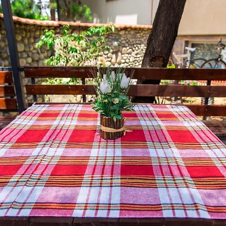 Vandrarhem The Comfy Skopje